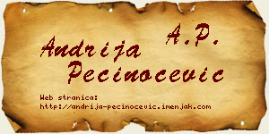 Andrija Pečinoćević vizit kartica